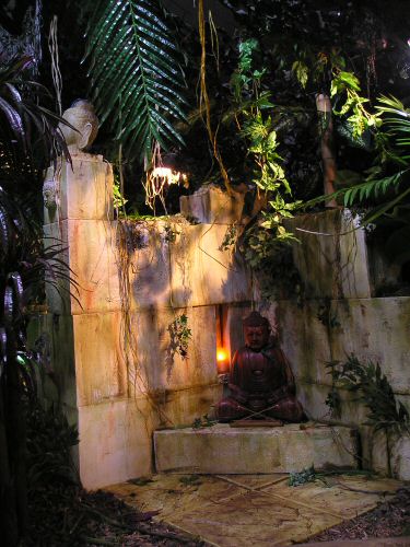 jungle tent (1).jpg